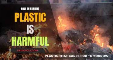 Plastic Burning: Harmful Effects on Health and Environment