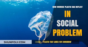 Plastic Bag Overuse: A Social Problem Reflecting Environmental Neglect
