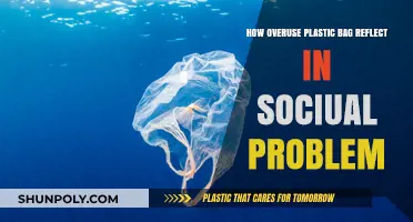 Plastic Bag Overuse: A Social Problem Reflecting Environmental Neglect