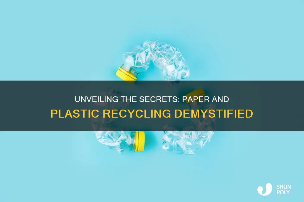 how paper and plastic are recycled information