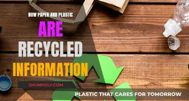 The Recycling Process: Paper and Plastic Explained
