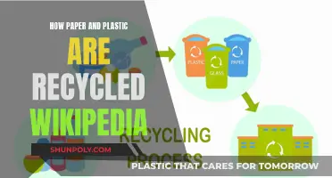 Unveiling Recycling Secrets: Paper, Plastic, and Wikipedia's Role