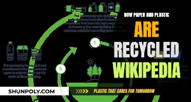 Recycling Paper and Plastic: The Wikipedia Guide