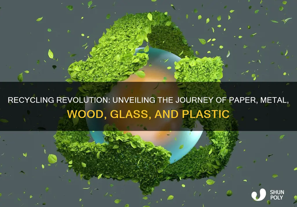 how paper metal wood glass and plastics are recycled