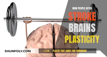 Stroke Recovery: Brain's Plasticity and Healing