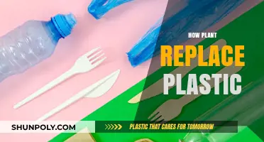 Revolutionizing Sustainability: How Plants Are Replacing Plastic