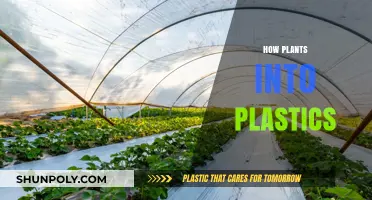 From Nature to Industry: The Journey of Plants into Plastics