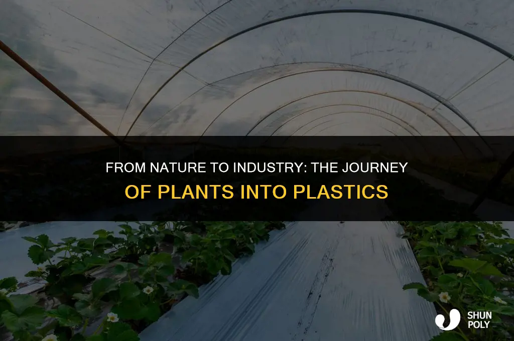 how plants into plastics