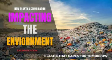 Plastic Pollution: Its Impact on the Environment
