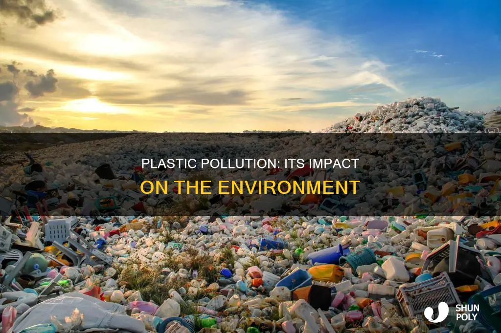 how plastic accumulation impacting the enviornment
