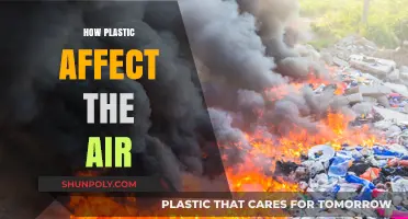 The Invisible Threat: How Plastics Pollute Our Air