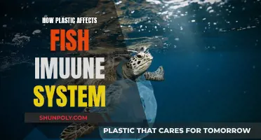 Plastic Pollution: Fish Immune Systems Under Attack