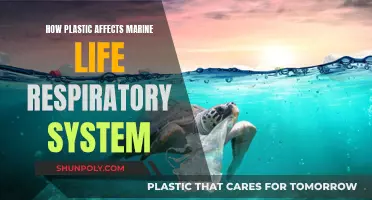 Plastic's Impact on Marine Life Breathing