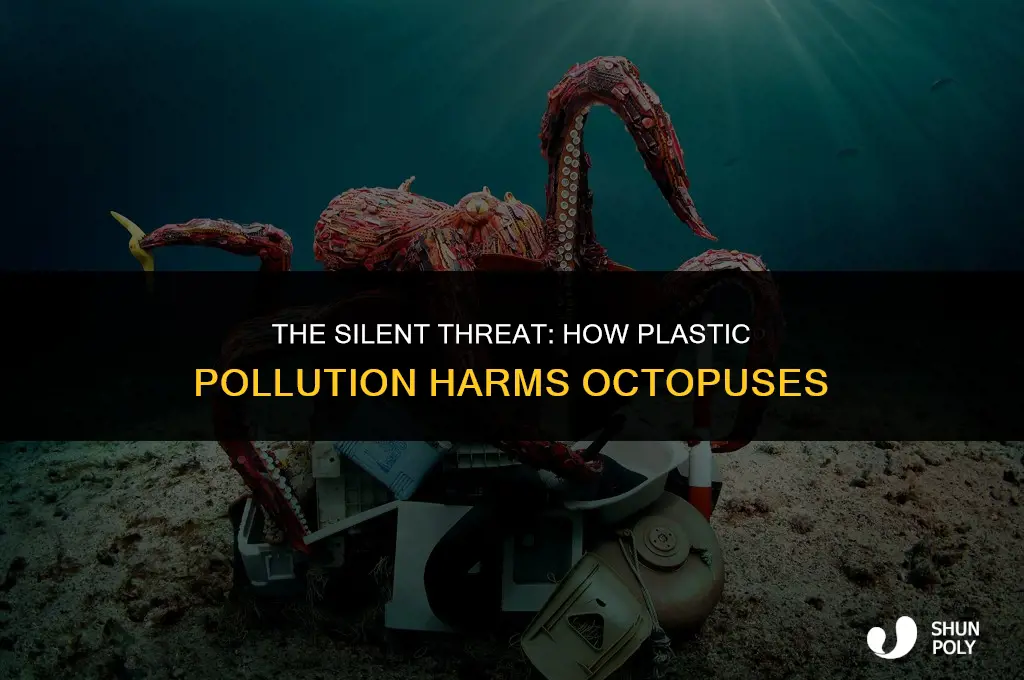 how plastic affects octopuses
