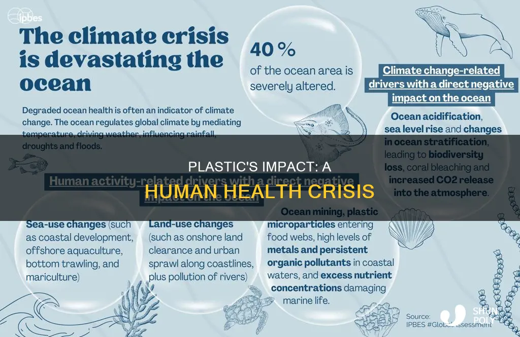 how plastic affects people scholarly article