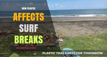 Riding the Wrong Wave: How Plastic Pollution Threatens Our Surf Breaks