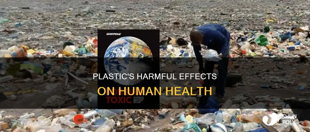 how plastic affects the human body