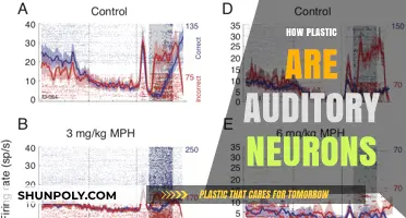 Exploring the Flexibility of Auditory Neurons: A Deep Dive