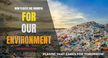 Plastic Pollution: Harming Our Planet, Our Health