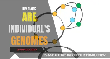 Genome Plasticity: How Malleable Are Our Genetic Blueprints?