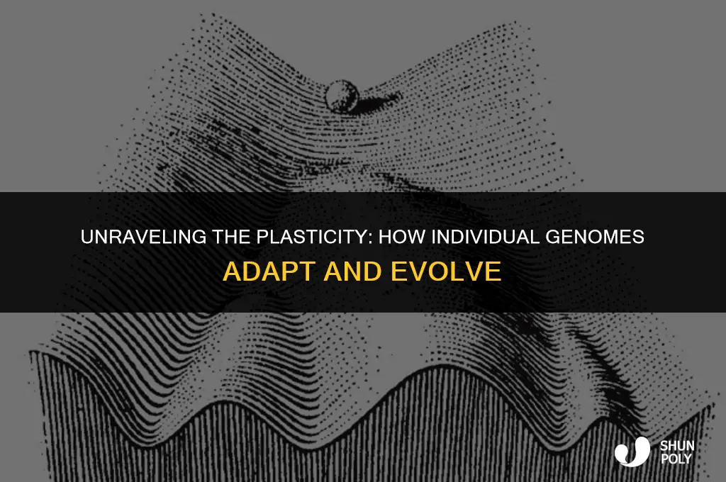 how plastic are individuals genomes