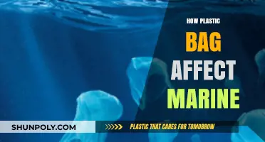 Plastic Bags in Oceans: Devastating Marine Life and Ecosystems