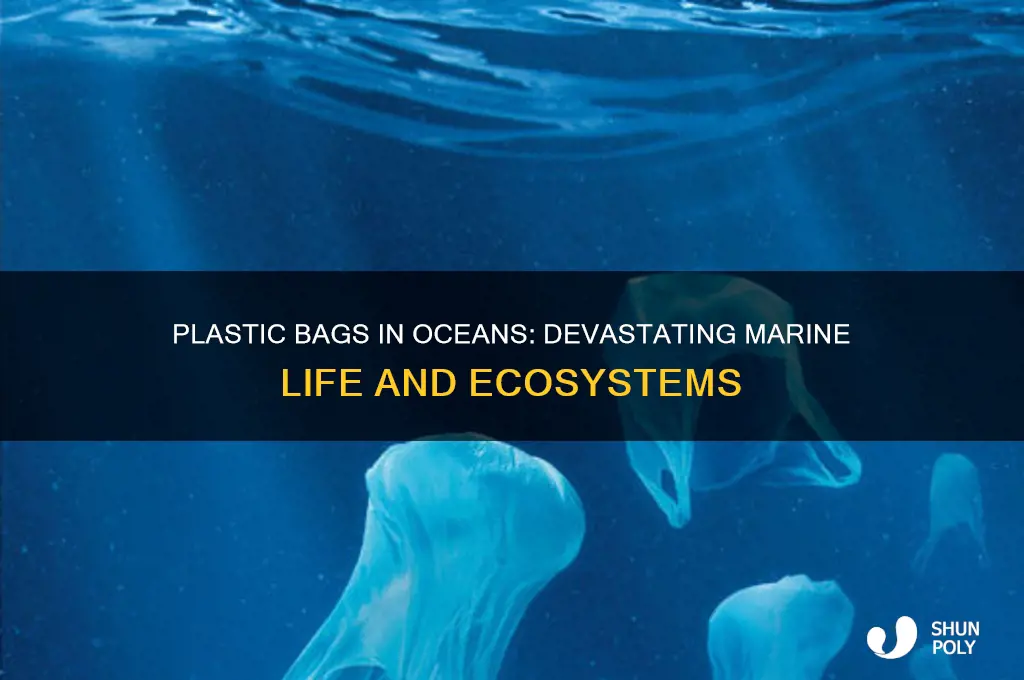 how plastic bag affect marine