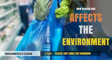 Plastic Bags' Devastating Impact: Environmental Consequences and Sustainable Alternatives