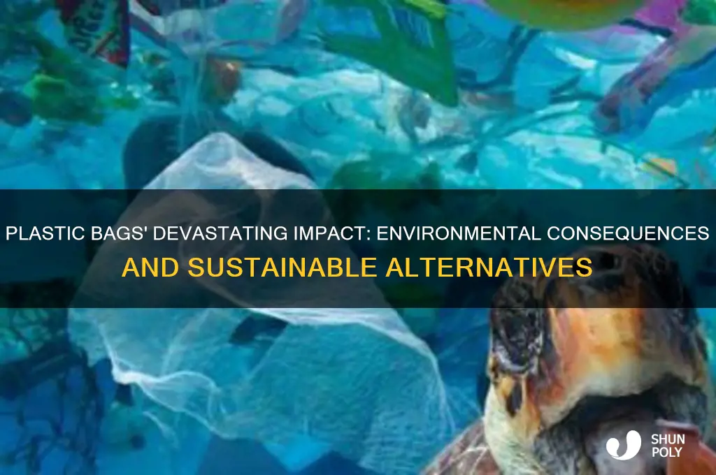how plastic bag affects the environment