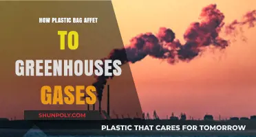 Plastic Bags' Hidden Impact: Unveiling Their Role in Greenhouse Gas Emissions