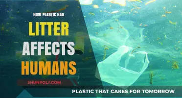 Plastic Bag Pollution: Hidden Dangers to Human Health and Environment