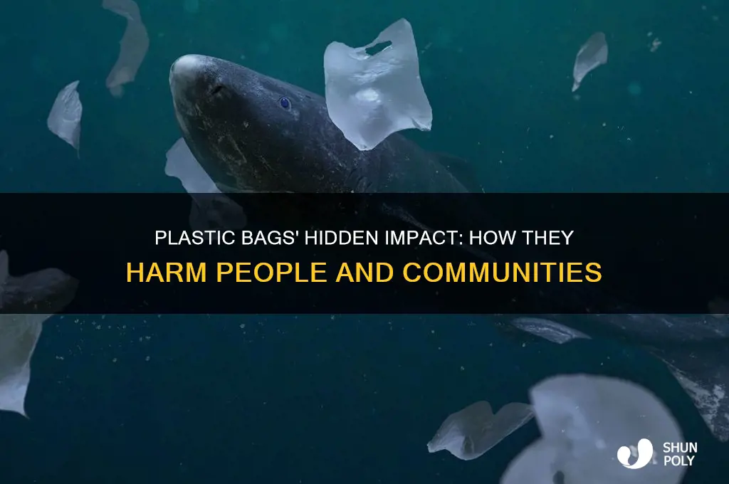 how plastic bags affect epople