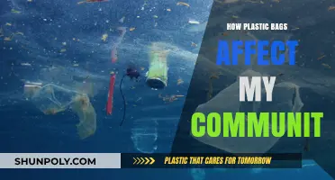 Plastic Bags' Impact: Harming Our Community, Environment, and Future