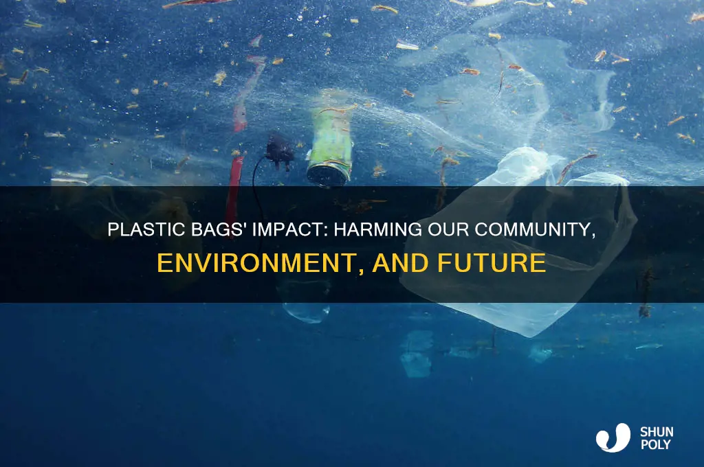 how plastic bags affect my community