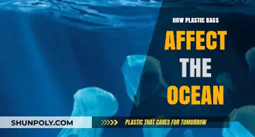 Plastic Bags in the Ocean: Devastating Impacts and Urgent Solutions