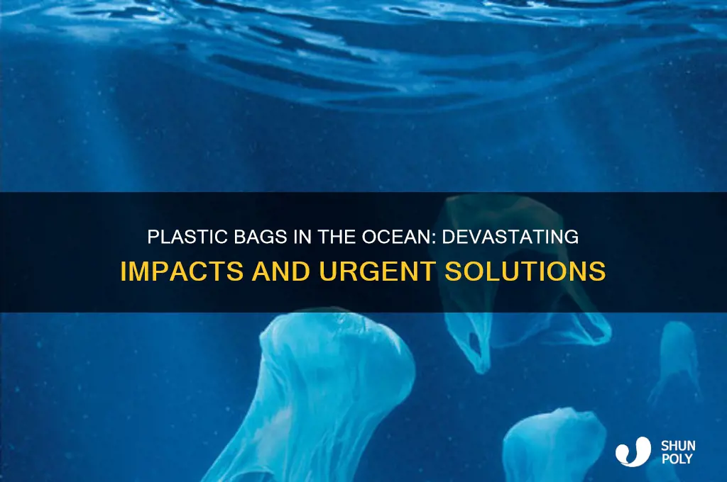 how plastic bags affect the ocean