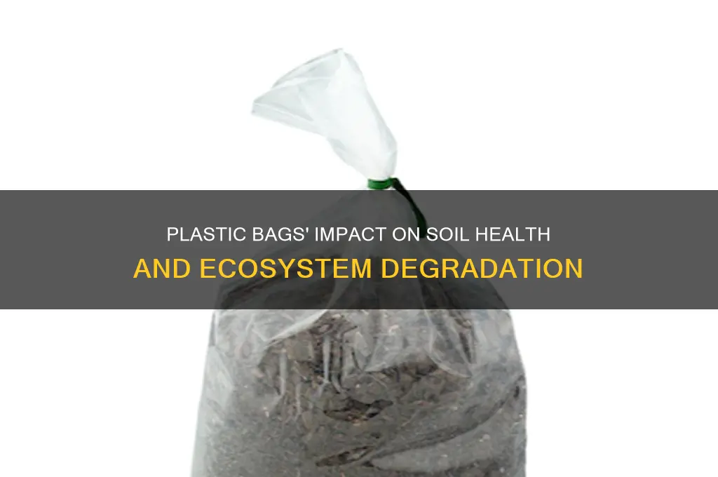 how plastic bags affect the soil