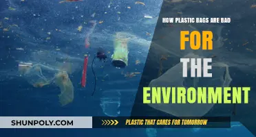 Plastic Bags' Devastating Impact: Harming Ecosystems and Polluting Our Planet