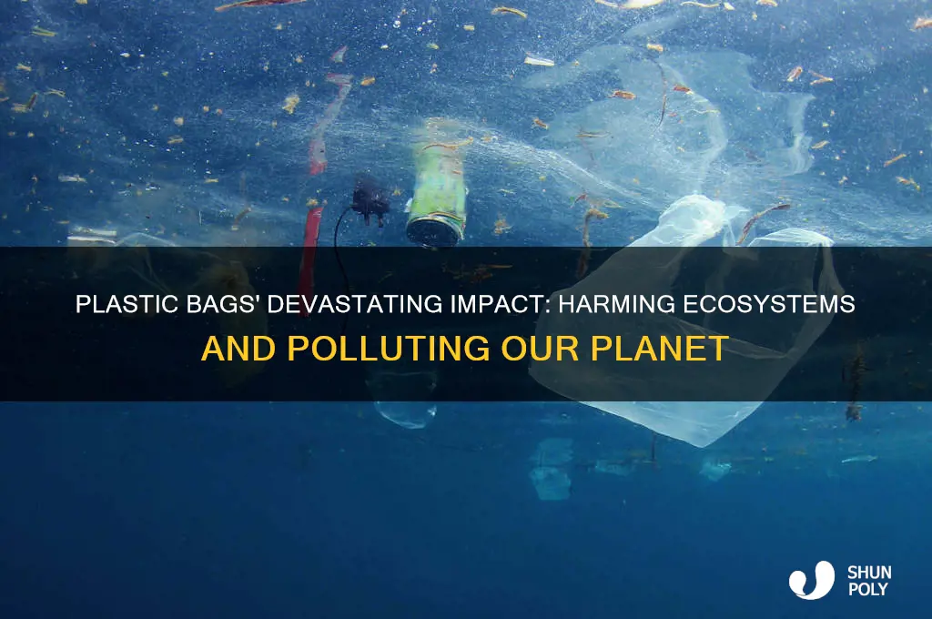 how plastic bags are bad for the environment