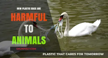 Plastic Bags: Silent Killers Threatening Wildlife and Ecosystems