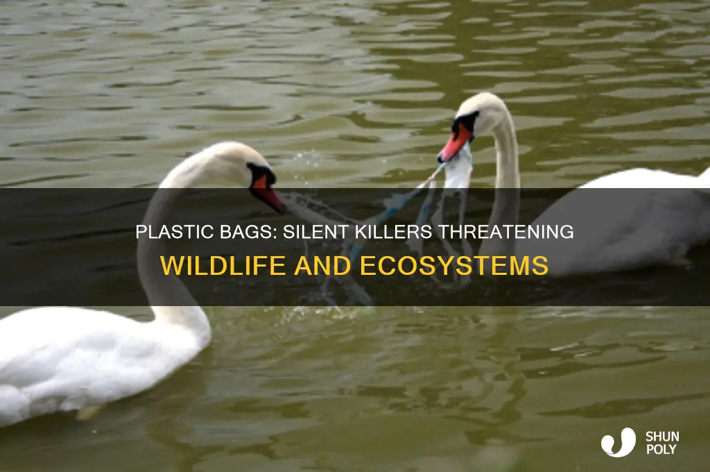 how plastic bags are harmful to animals