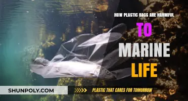 Plastic Bags' Deadly Impact: Threatening Marine Ecosystems and Wildlife Survival