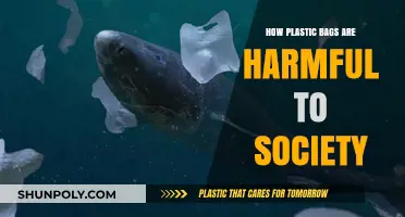 Plastic Bags' Devastating Impact: Harming Society, Environment, and Future Generations