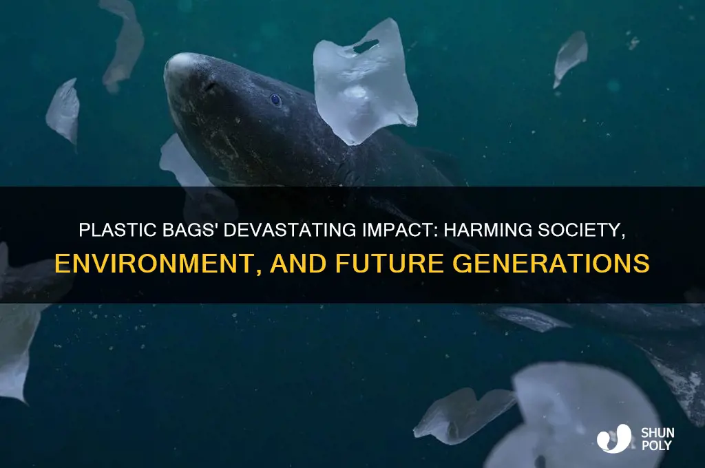 how plastic bags are harmful to society