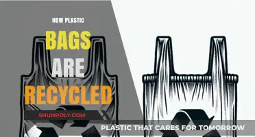 Recycling Plastic Bags: A Step-by-Step Process for Sustainable Waste Management