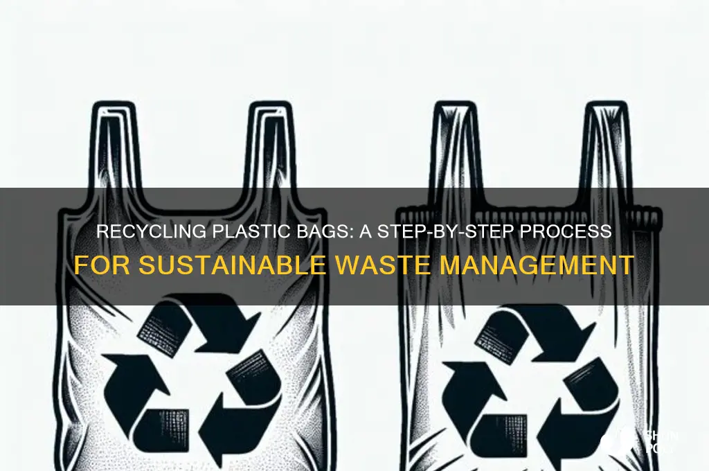 how plastic bags are recycled