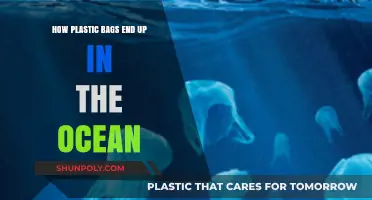 From Land to Sea: Tracing the Journey of Plastic Bags to Oceans