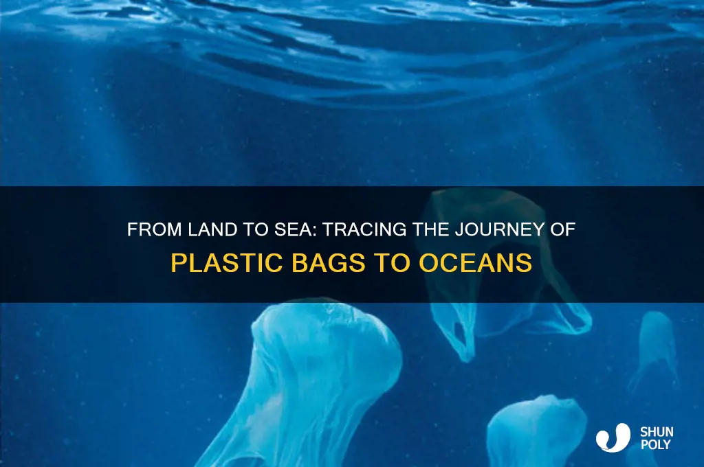 how plastic bags end up in the ocean