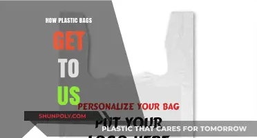 From Production to Pollution: The Journey of Plastic Bags to Our Lives