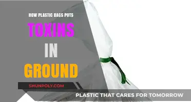 Plastic Bags Leach Harmful Toxins into Our Soil and Environment